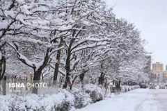 سازمان هواشناسی :آغاز بارش برف و باران و کولاک در کشور از بعدازظهر فردا/ وزش باد شدید در جنوب غرب و شرق کشور
