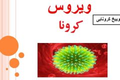 معرفی رئیس اداره ورزش و جوانان دلیجان به مرجع قضایی