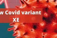 جزئیات تازه از سویه «اُمیکرون Xe» / تشخیص اُمیکرون چگونه انجام می‌شود؟