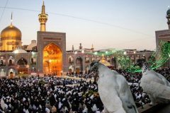 تنها خانه ام برای زائران امام رضاست