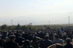 دکان کاسبی خانواده یک دختر فراری به قیمت جان مردم و بی تفاوتی دستگاه قضایی