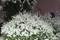 عکس های برفی روستاهای اطراف ساوه
