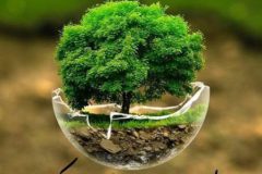 سیزده بدر را با حفظ حرمت ماه مبارک رمضان گرامی بداریم