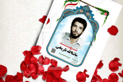 سلام بر تو ای مادر عزیز، از تو می‌خواهم که اگر من شهید شدم، هیچ‌گونه ناراحتی در تو ایجاد نشود