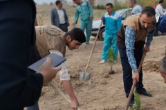 اجرای پویش مردمی بذر کاری در شهرستان ساوه
