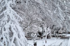 اولین برف زمستانی ساوه را سفیدپوش کرد