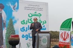 IMG_20250305_104031_330