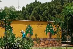 ضرورت برداشتن گامهای بلندتر در توسعه شهری d6b2e607-9c79-4d30-a4fb-b8e265d934cf