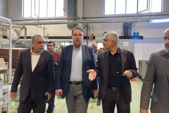 صنایع با ارز و تسهیلات جدید تقویت می‌شوند