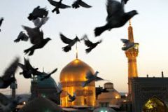 امام رضا (ع) الگوی برجسته اخلاقی مؤمنان راستین
