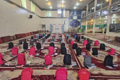 پویش مهر فاطمی در آوه برگزار شد