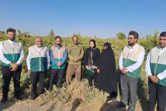 نذر سبز سه باغدار ساوجی برای  باقیات صالحات