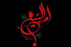 نسل امروز نیازمند الگوگیری از سیره ام‌البنین (س) است