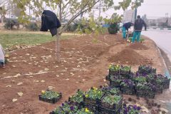 ساوه برای استقبال از نوروز مهیا می شود